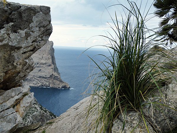 Cap Formentor Mallorca