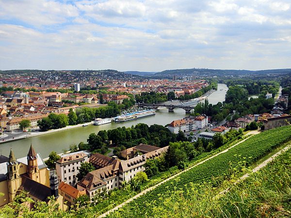 Wrzburg - Weinberge am Main